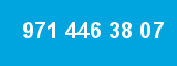 971 446 38 07